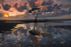 开云体育-欧冠意甲双线焦点，亚特兰大补时绝杀马竞，穆勒闪耀亚平宁赛场