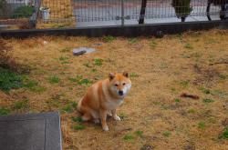 开云体育入口-德布劳内爆发闪耀欧洲足坛，英格兰力克摩洛哥晋级世界杯