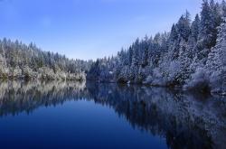 开云官网-绝境硬仗，暗夜流光，格列兹曼成卡塔尔逆袭芬兰关键先生