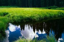 开云平台-篮球关键时刻的王者，凯尔特人力克新疆，伦纳德西决生死战定乾坤