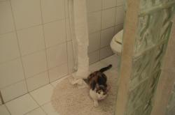 开云体育-日本冲垮乌拉圭，巴尔韦德逆境中扛起复兴大旗