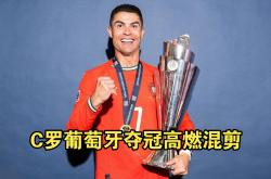 开云平台-葡萄牙惊险获胜，成功晋级下一轮的简单介绍