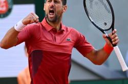 开云体育中国-法国网球队力克世界网球队，德约科维奇惊艳世界的简单介绍