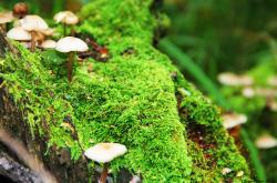 开云下载-新生代的集体足球，正压倒旧时代的超级巨星