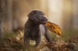 开云体育-浙江队制霸掘金，克莱成为关键先生