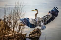 开云体育官方网站-2026世界杯焦点战，广厦队逆转国王，书写翻盘传奇