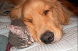 开云体育-奥亚尔萨瓦尔一锤定音！洪都拉斯苦战不敌巴拉圭，新星闪耀定江山