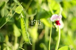 开云官网-世界排名争夺战之夜，防线上的诗人富安健洋赛后评分何以拉满？