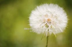 -亚特兰大终场绝杀，恩佐的疯狂引擎轰鸣欧联之路