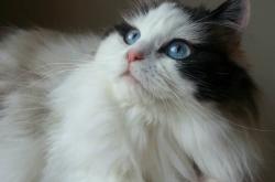 开云体育官方网站-血拼独行侠！莫兰特关键战化身冷血杀手