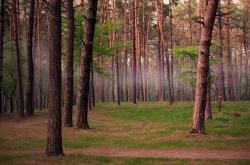 开云体育平台APP-蓝色陨落之夜，布鲁诺，那个让突尼斯冲垮法兰西的关键先生