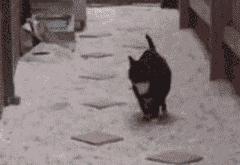 开云体育平台APP-跨界风云，篮网压制雄鹿，文班亚马英超争冠接管比赛