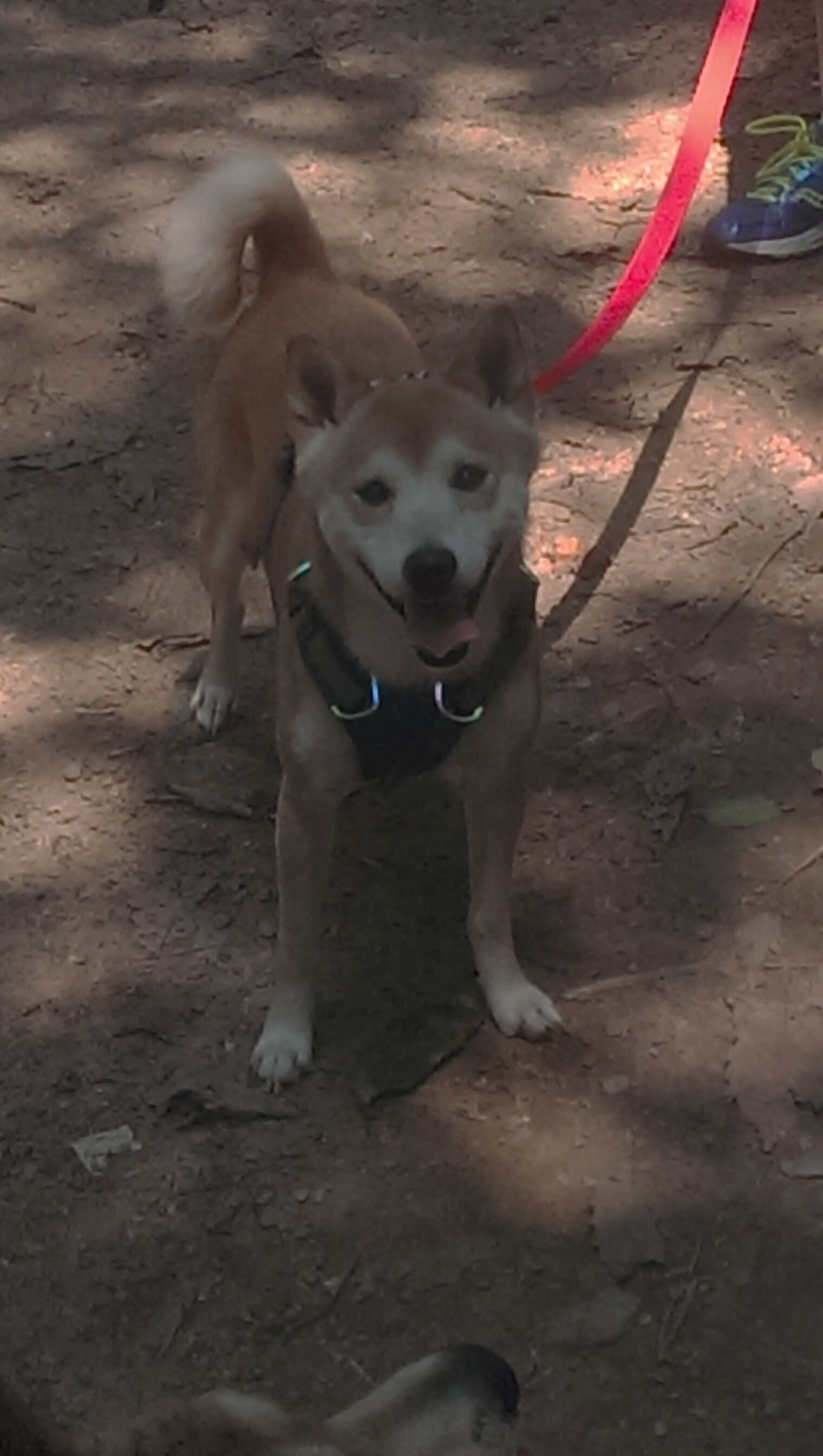 数据全面爆炸！中国军团提前终结巴黎悬念