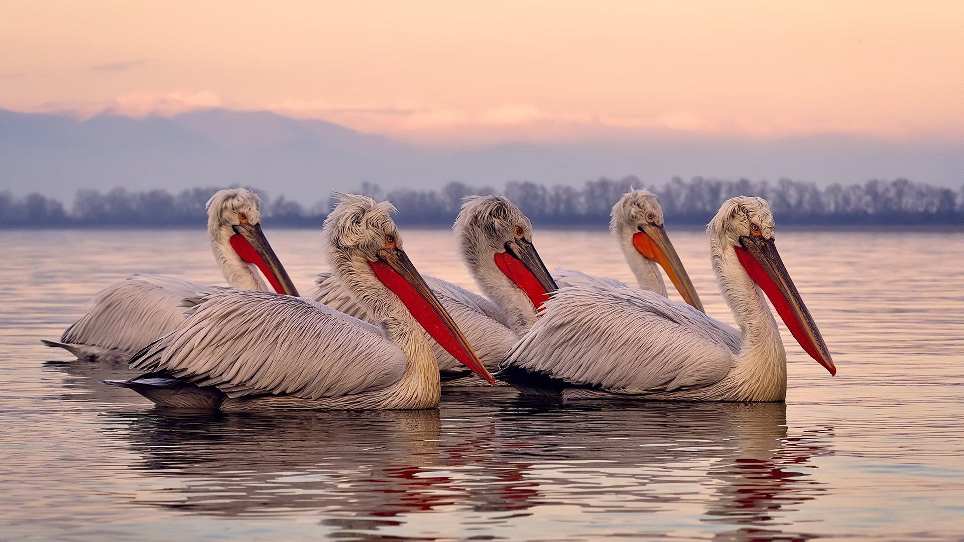 劳塔罗里程碑之夜闪耀,加纳铁腰告别阿森纳引深思