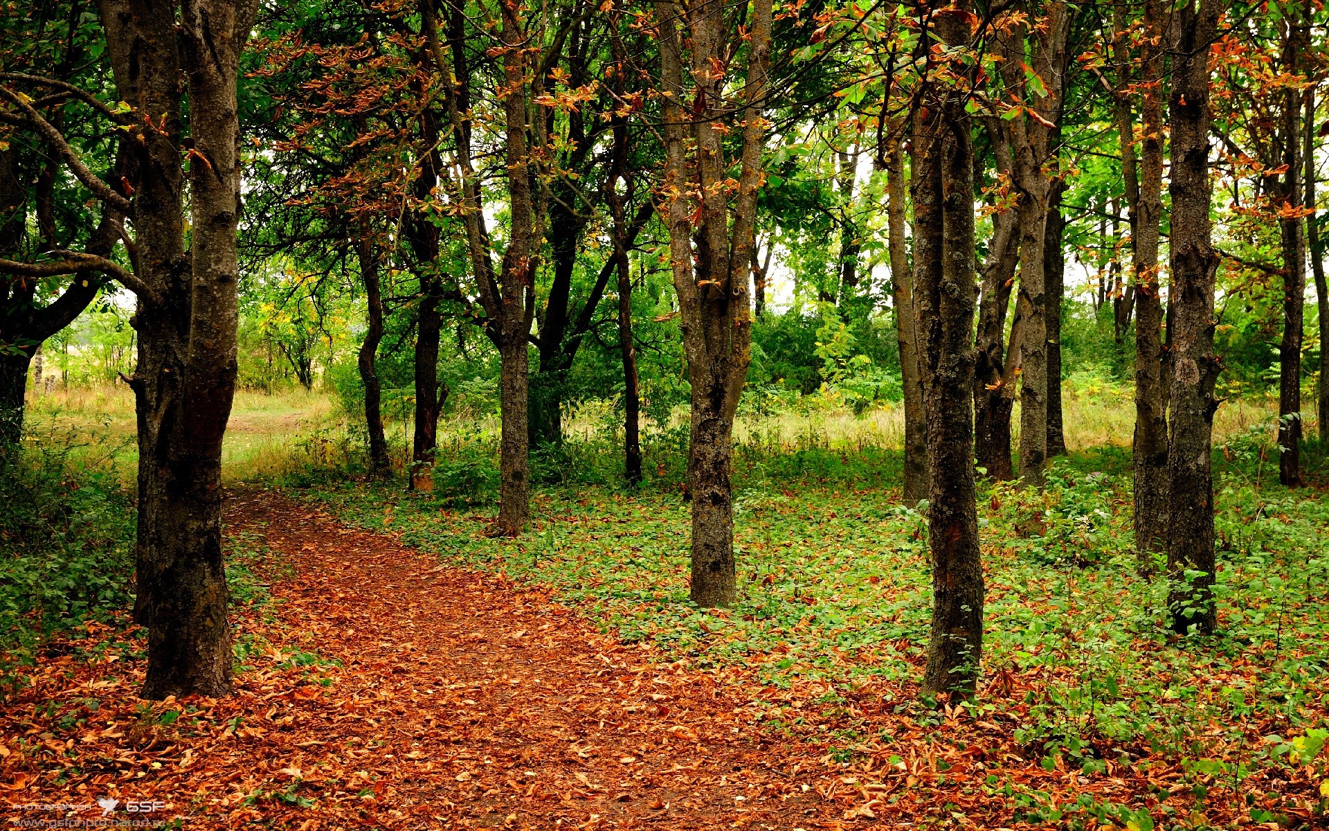 马刺奇兵破长林，莫兰特一剑定乾坤！