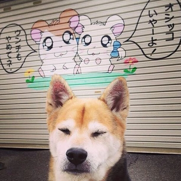 烽火连城,贝蒂斯一役如何搅动英超争冠天平