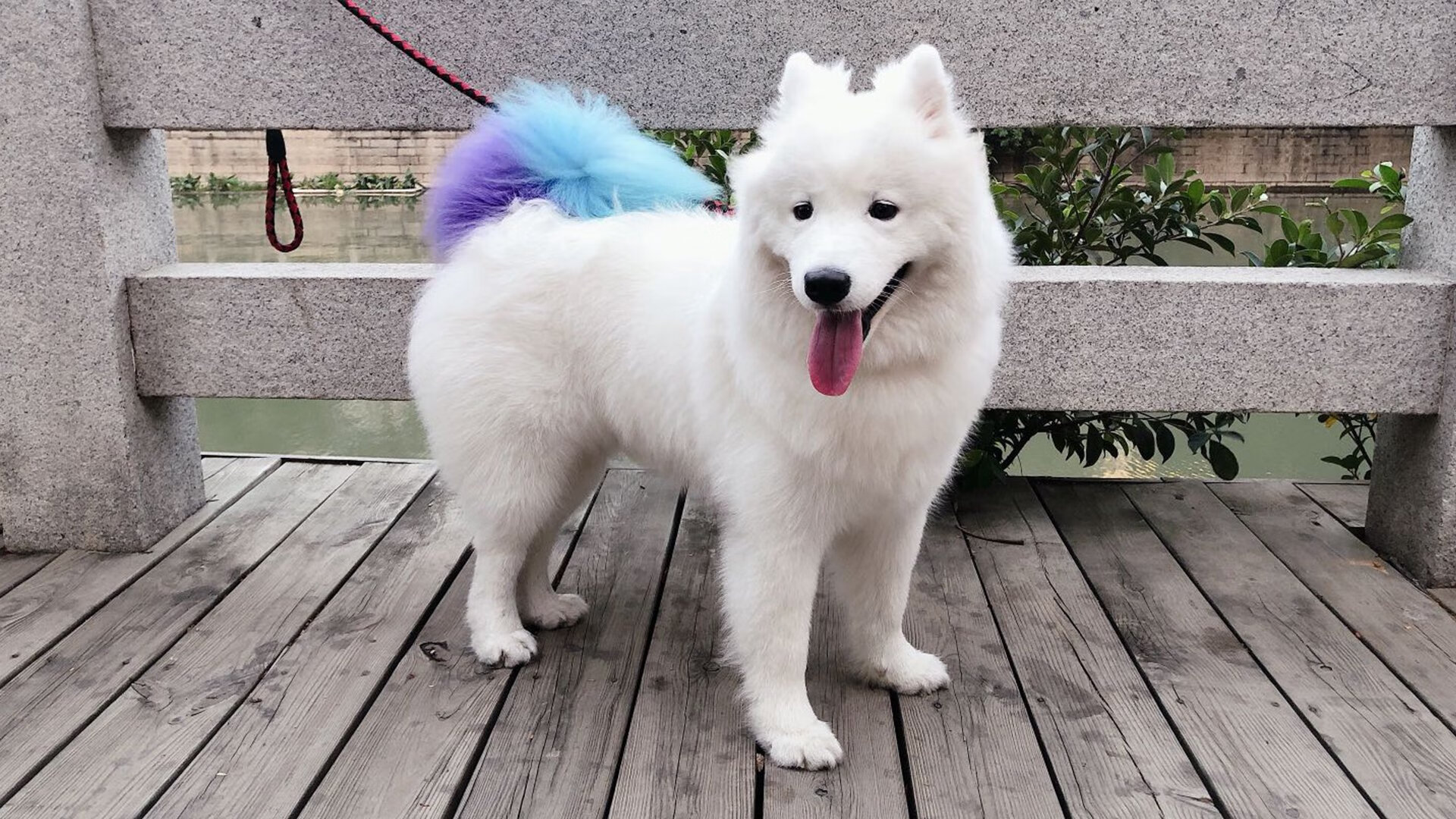 绿茵场上的双重变奏，加纳爆冷掀翻巴萨，莫德里奇独舞定鼎世界排名