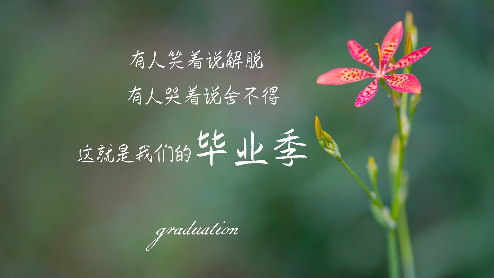 恩佐关键制胜,法国加时奏凯,一场意志与战术的终极博弈