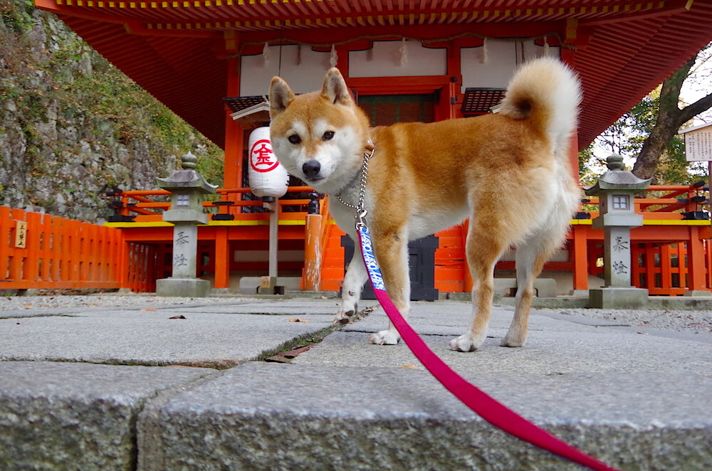 错乱的焦点，当国家德比遇上卡塔尔的狂胜，足球世界正在重绘版图