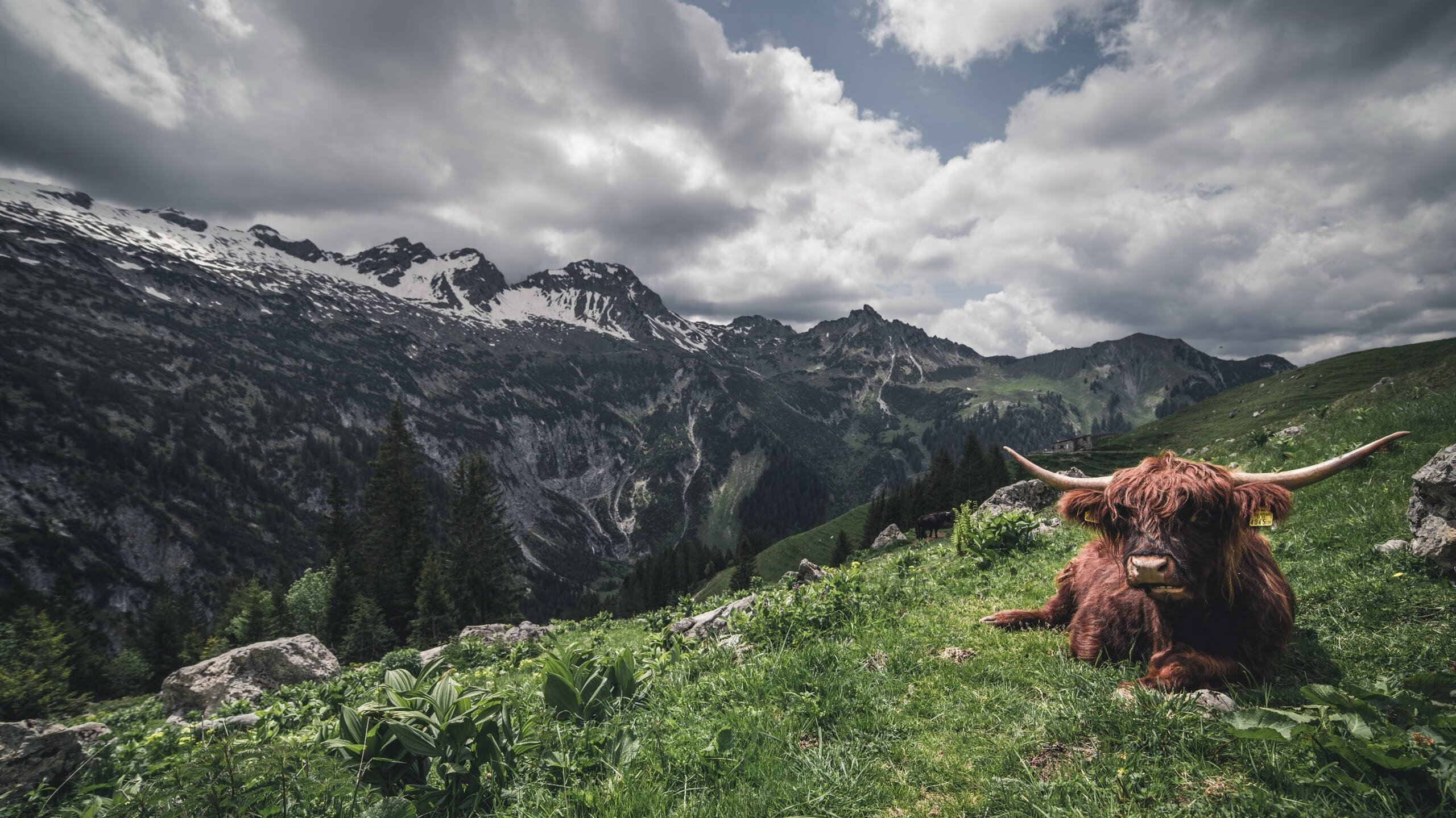 欧冠决赛之夜，西亚卡姆用实力铭刻传奇