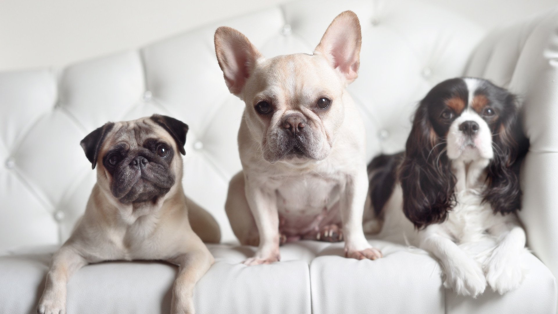 F1新赛季揭幕战之夜,苏亚雷斯的表现,堪称一本赛道教科书