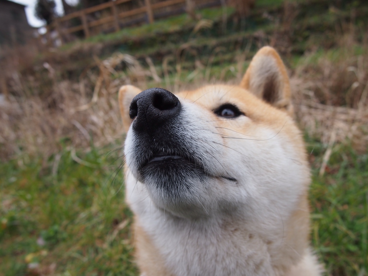 英雄主义的回响，2026世界杯之夜，布克在算法时代的关键制胜