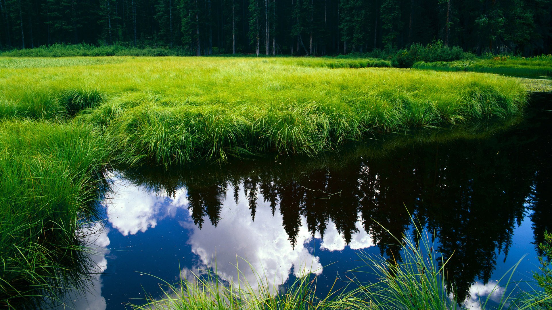 双城风暴,快船击沉湖人,恩比德主宰洛城德比