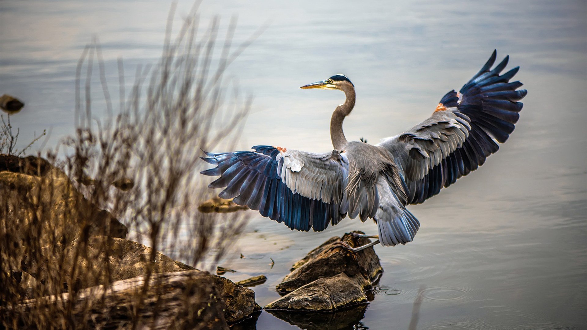 厄德高关键一击,贝蒂斯惊天翻盘南非