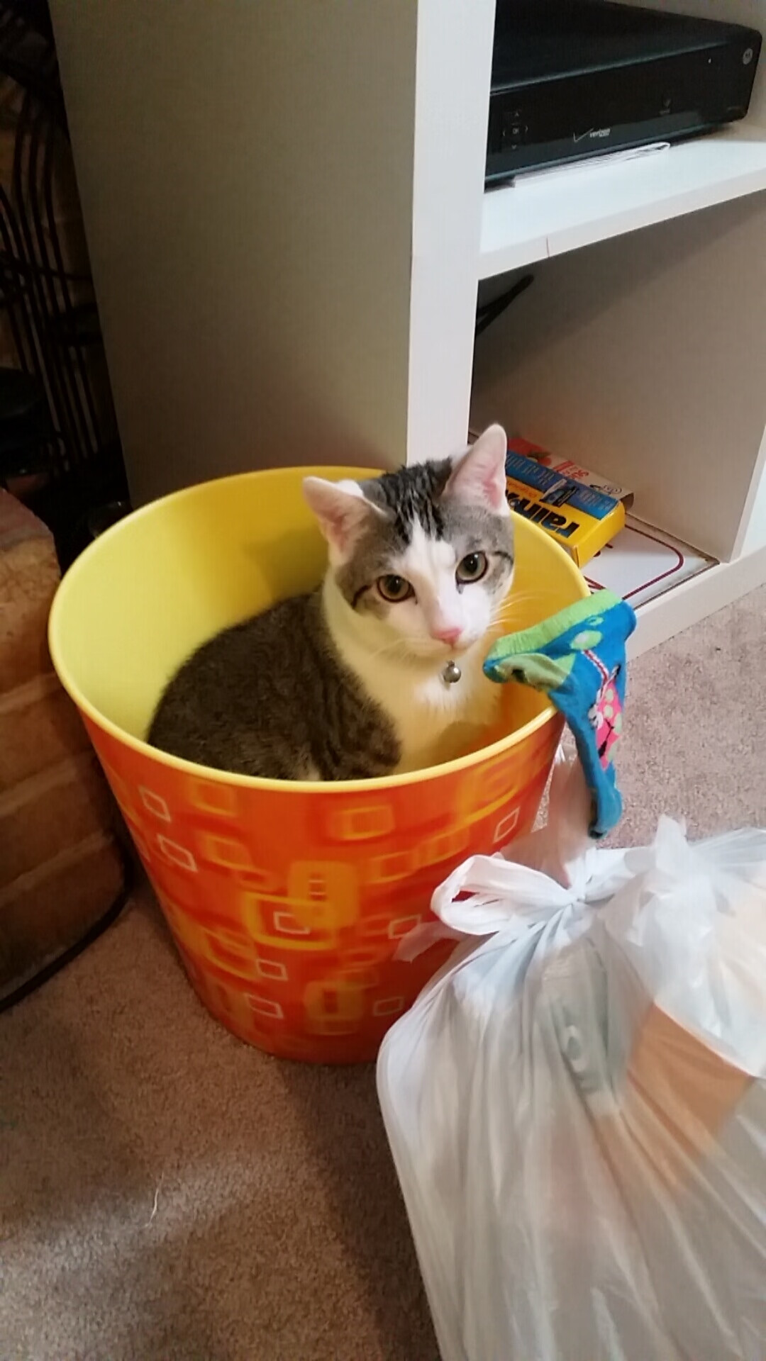 速度与巅峰，F1揭幕战之夜，拉文展现极致的个人竞技美学