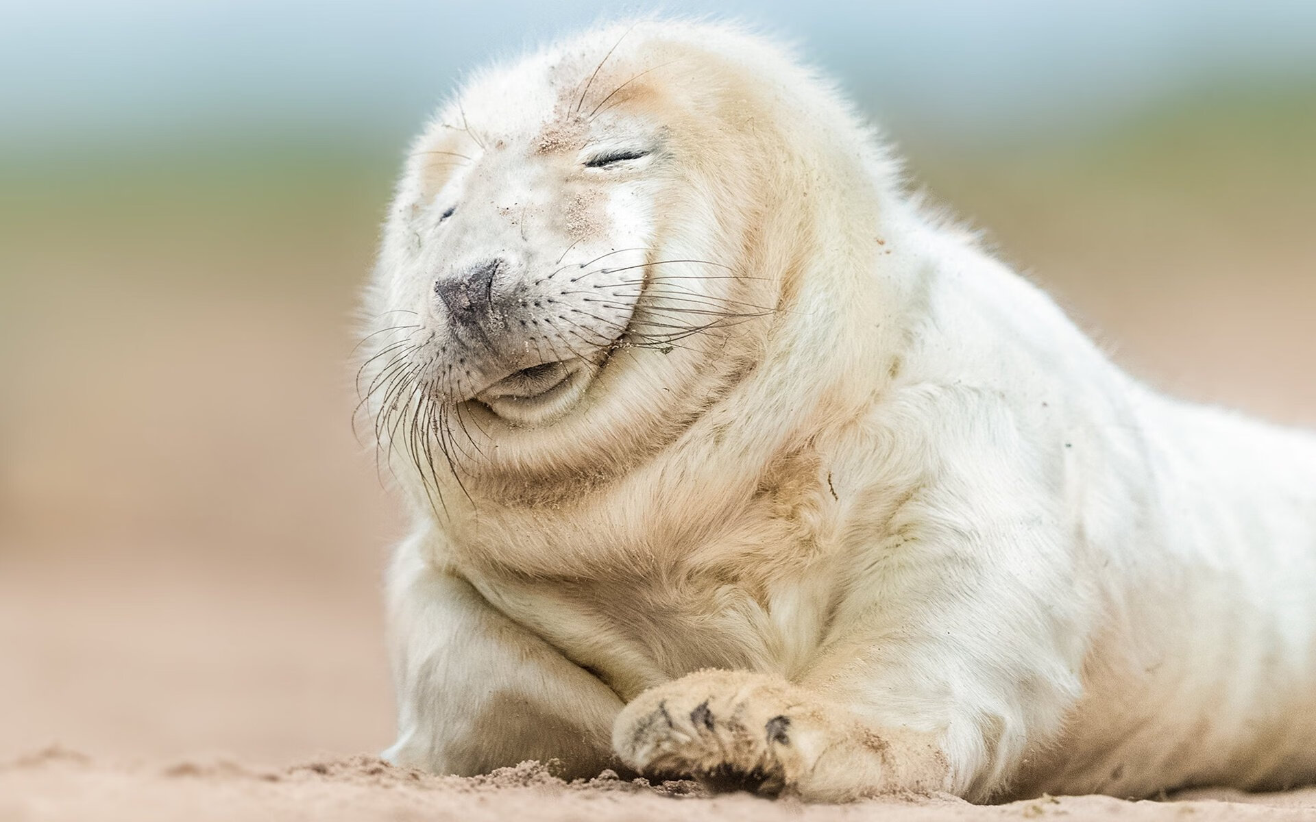 巨星闪耀！萨拉赫致命一击定江山，利物浦燃尽最后争冠希望